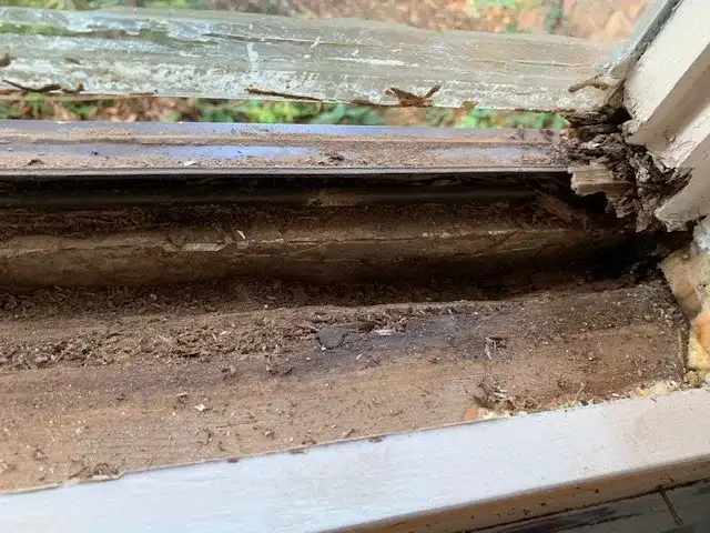 Campbell Pest Control — Dallas