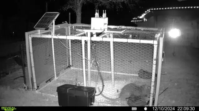 Caraway Pest Control — Houston