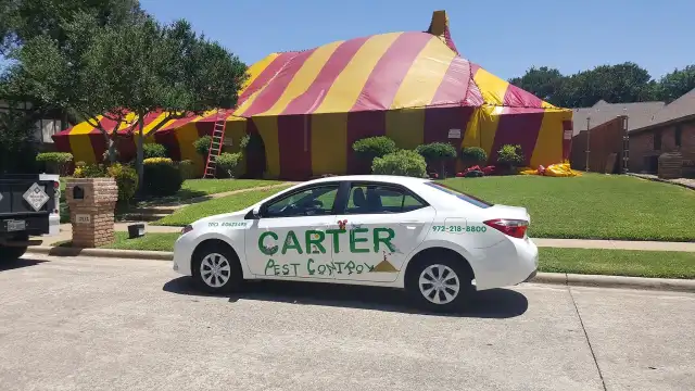 Carter Pest — Waxahachie