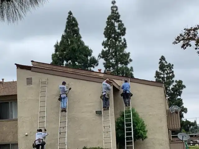 Chem Free Exterminating — Anaheim