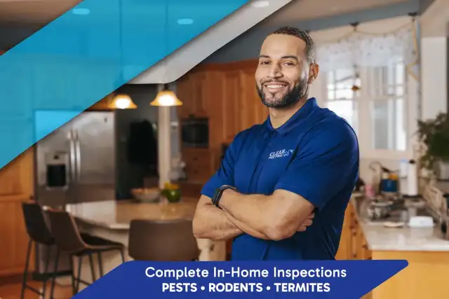 Clear Pest Pros of Clearwater — Clearwater