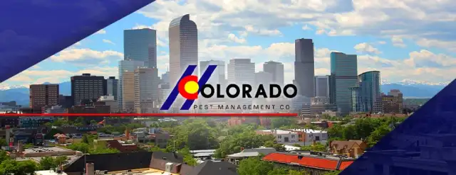 Colorado Pest Management — Centennial