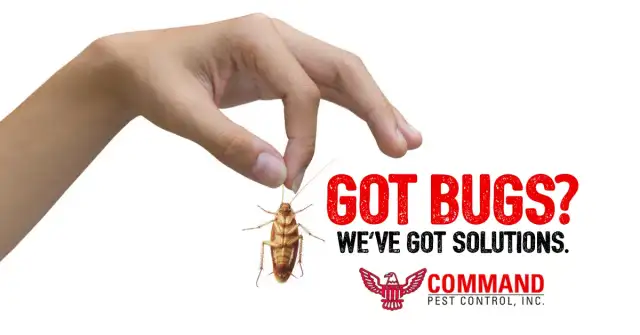 Command Pest Control — Pompano Beach
