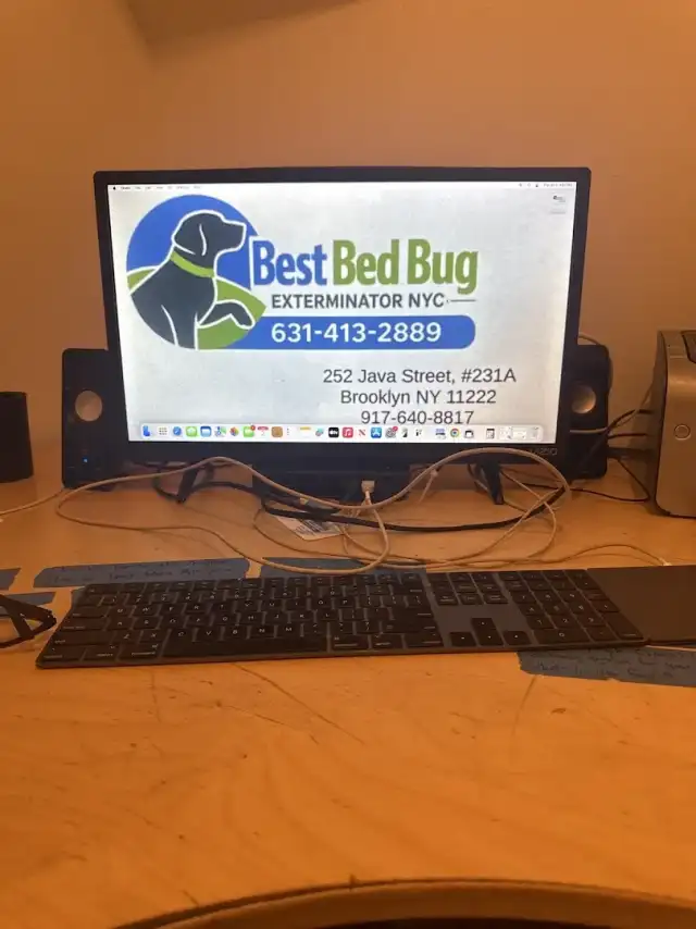 Bed Bug Exterminator NYC — Brooklyn