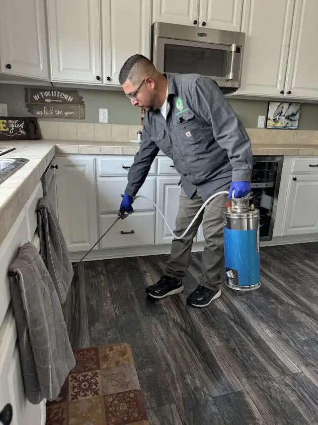 Complete Pest Control — Colorado Springs