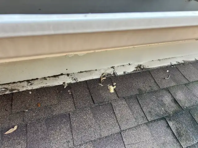 Critter Call Pest Control — Fort Worth