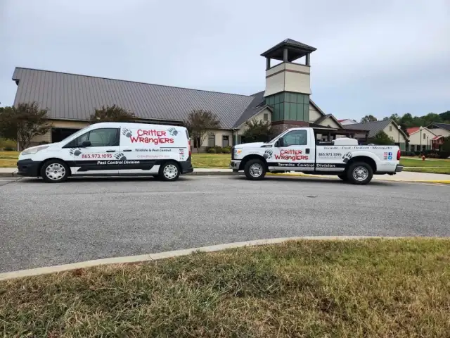 Critter Wranglers Pest and Wildlife Control — Powell