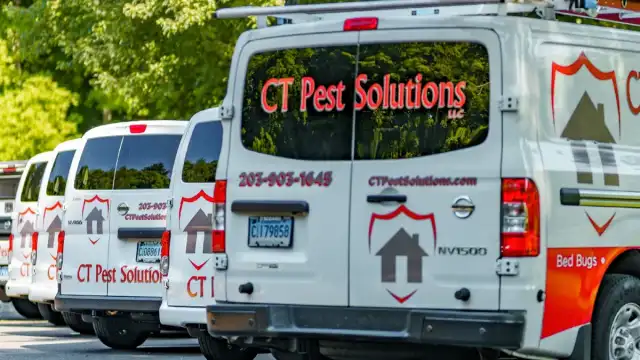 CT Pest Solutions — Naugatuck