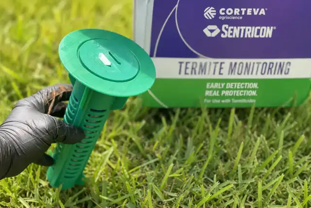 Dave's Pest Control - Sanford — Sanford