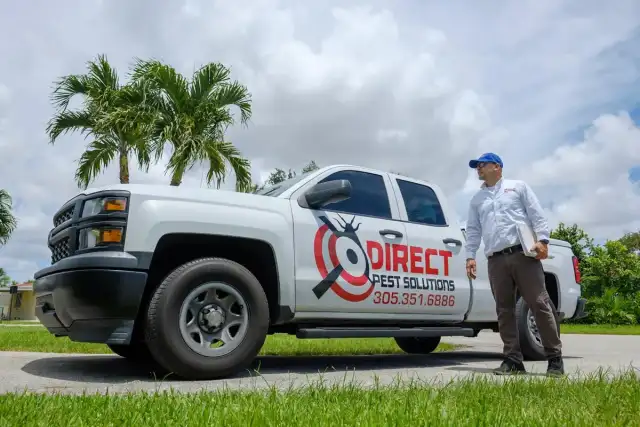 Direct Pest Solutions — Miami