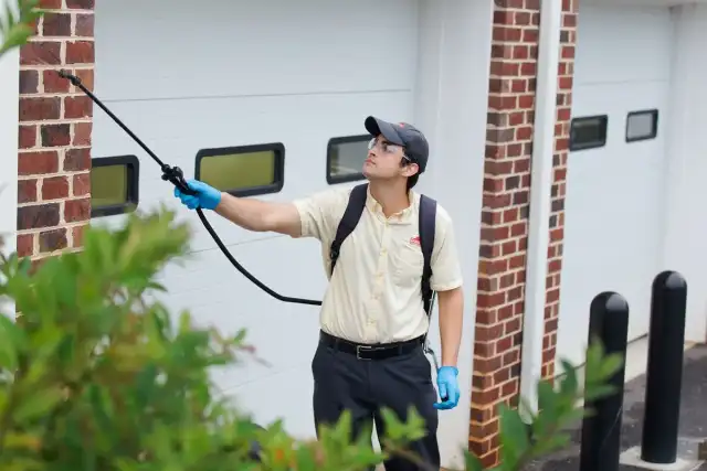Dodson Pest Control — Lorton