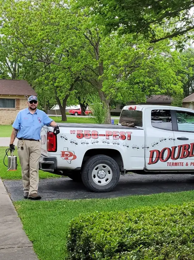 Double D Termite & Pest Control — Cleburne