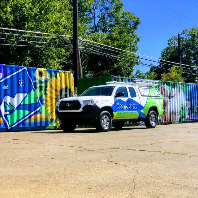Eco-Safe Pest Control — Dallas