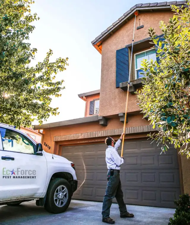 EcoForce Pest Management — New Braunfels
