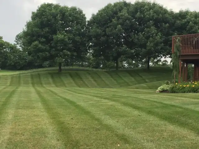 Thompson Lawn Care — Georgetown