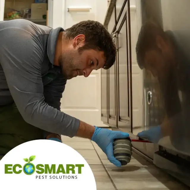 EcoSmart Pest Solutions — Brandon
