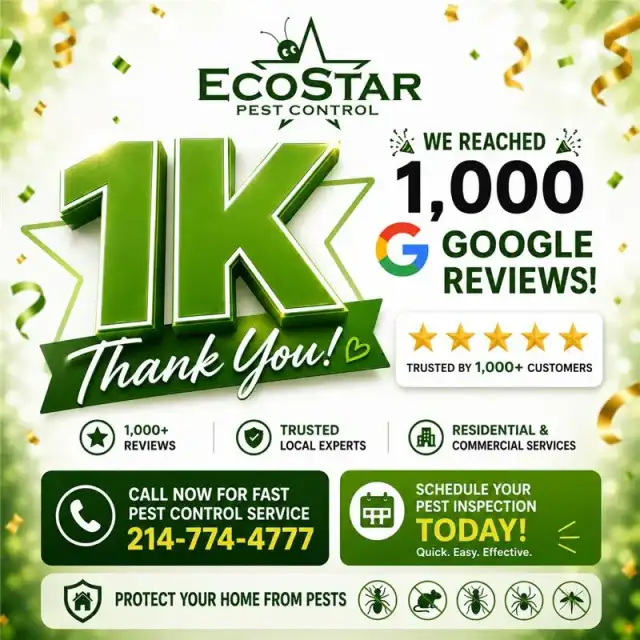 EcoStar Pest Control: Pest Control Services Near Dallas & Carrollton, TX — Carrollton