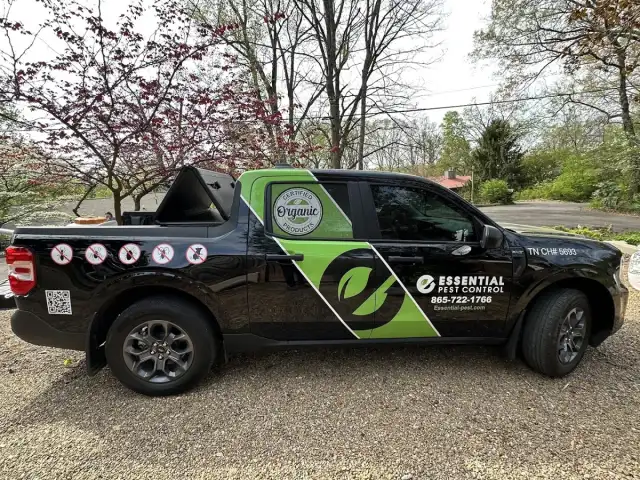 Essential Pest Control — Maryville