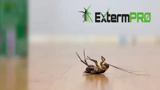 ExtermPRO — Centreville