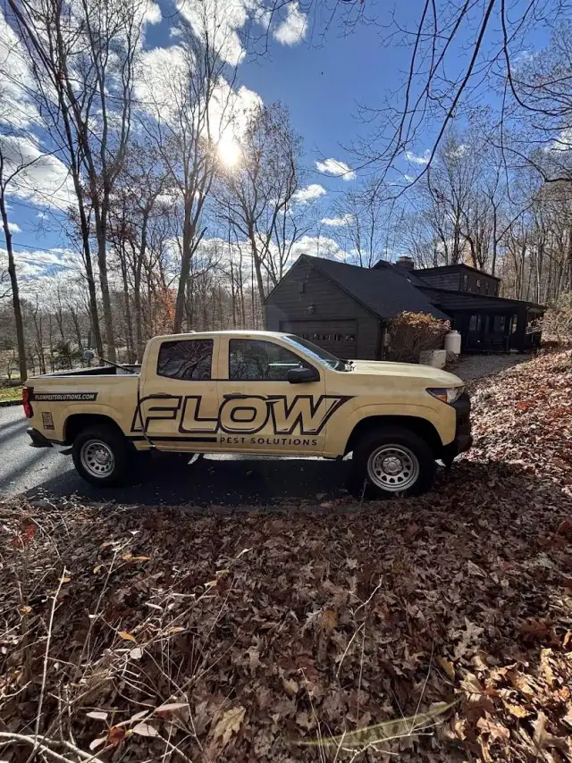 Flow. Pest Solutions — Norwalk