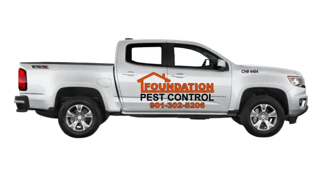 Foundation Pest Control — Arlington