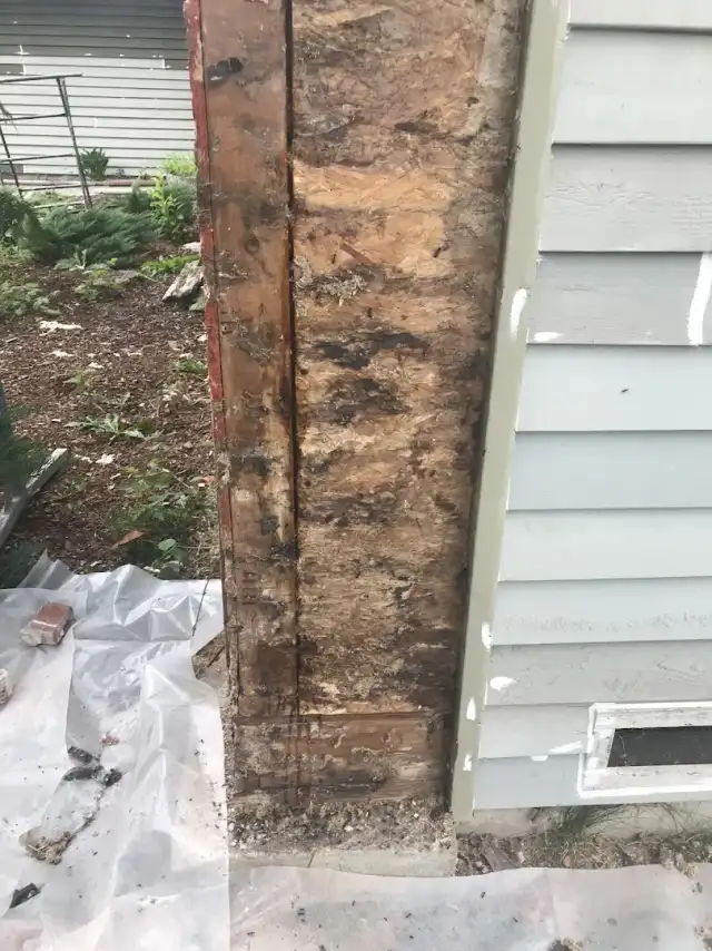 Frontier Pest Control — North Bend