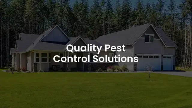 Gannon Pest Control — Solvay