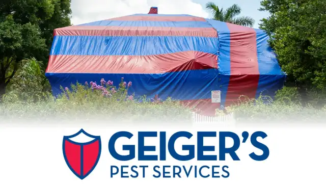 Geiger's Pest Services — St. Petersburg