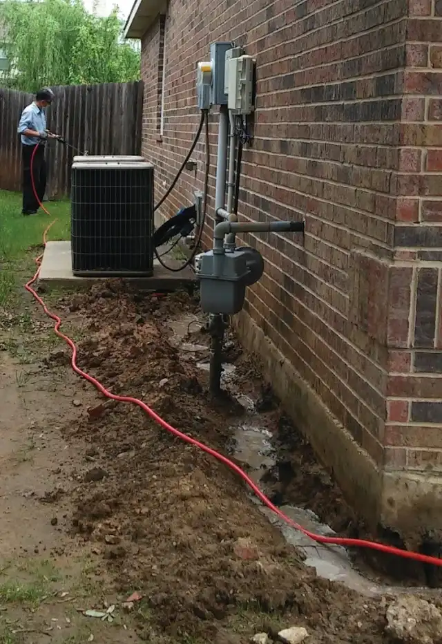 Go Eco Pest Control — Dallas