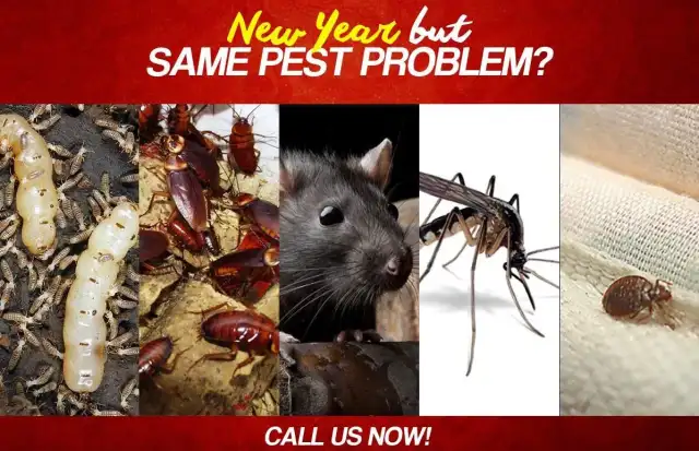 GONE Pest Management — Deerfield Beach
