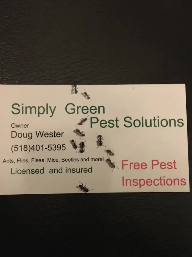 Simply Green Pest Solutions — College Point