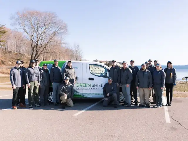 Green Shield Pest Solutions — Saco