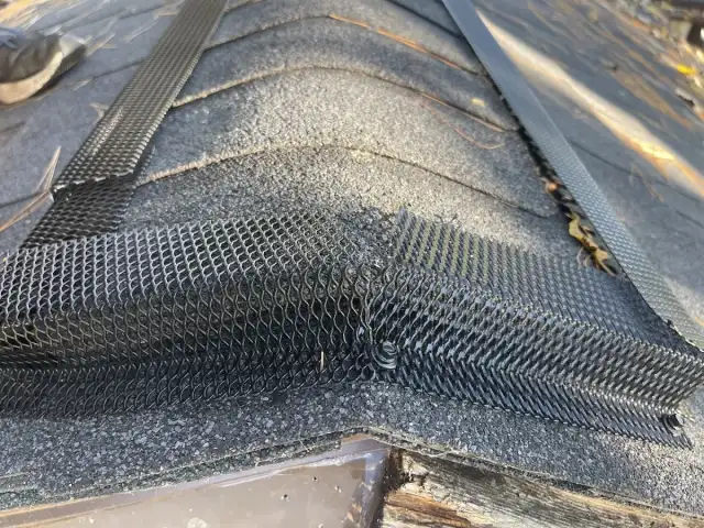 Green Guard Pest Solutions & Handyman Services — Bethel