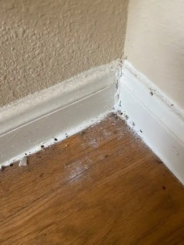 Guardian Mosquito & Pest Control — Montgomery