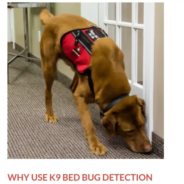 HK pest control service — McKinney