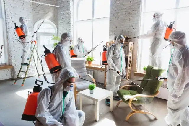 Home pest control LLC Mckinney — McKinney