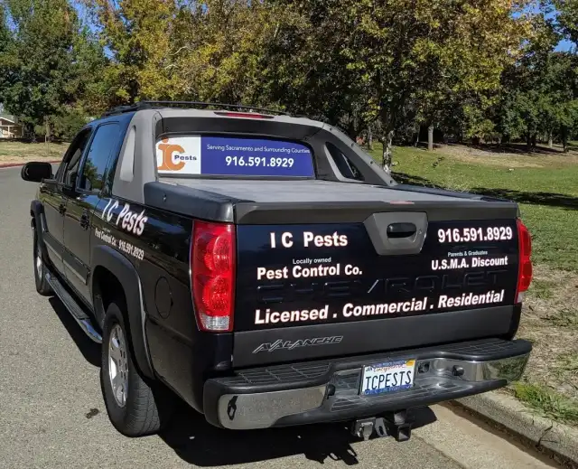 I C Pests — Fair Oaks
