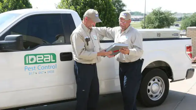 Ideal Pest Control — Fort Worth
