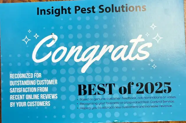 Insight Pest Solutions — Falmouth