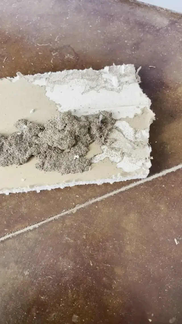 Integra Termite & Pest Control, LLC — Fort Worth