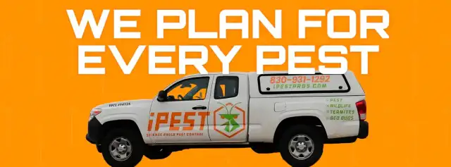 iPest Solutions San Antonio — San Antonio