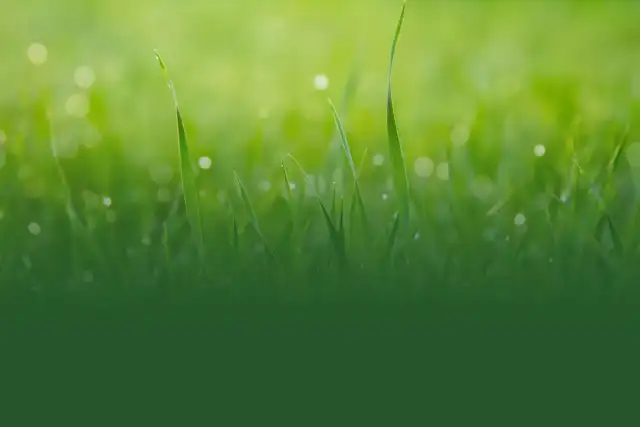 Its Green — Scarborough