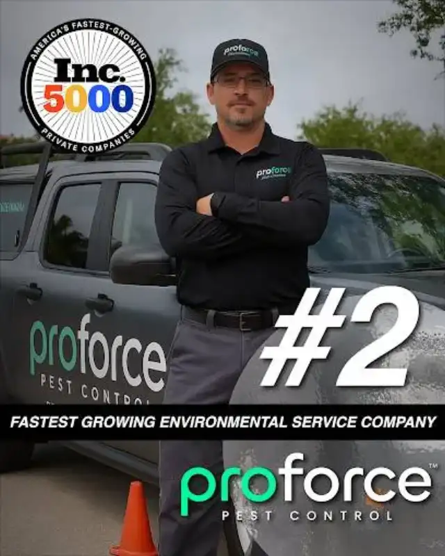Proforce Pest Control - Tampa — Tampa