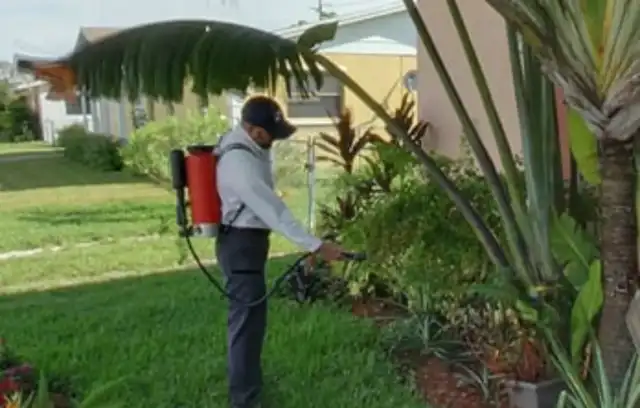 24 Seven Pest Control — Miami