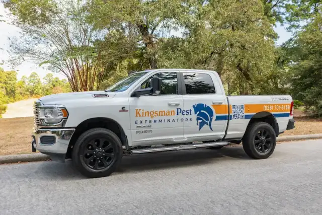 Kingsman Pest Exterminators — The Woodlands