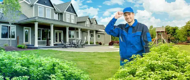 KNOCKOUT Pest Control Jacksonville — Jacksonville