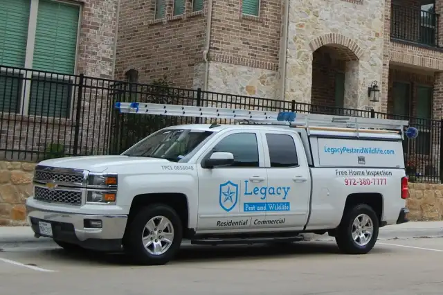 Legacy Pest and Wildlife — Dallas