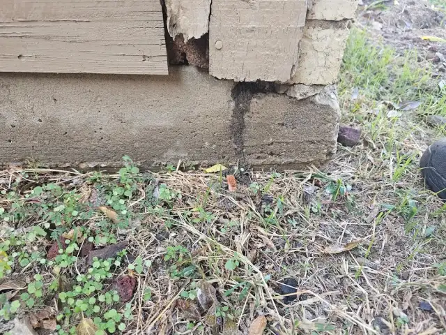 Lion's Den Pest Control — Dallas