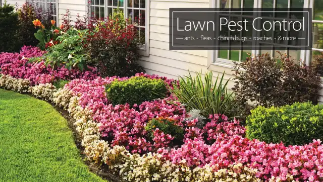 Live Oak Pest Control — Seguin