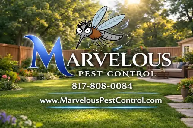 Marvelous Pest Control — Fort Worth